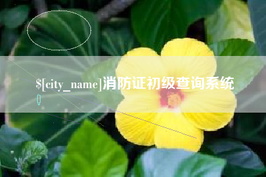黄山消防证初级查询系统