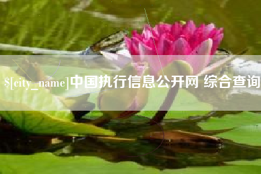 黄山中国执行信息公开网 综合查询