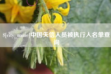 黄山中国失信人员被执行人名单查询