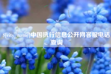 黄山中国执行信息公开网客服电话查询