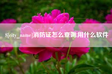 黄山消防证怎么查询,用什么软件
