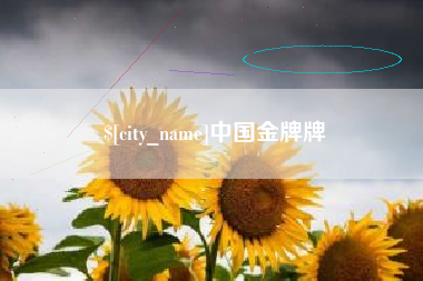 黄山中国金牌牌
