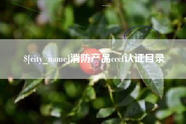 黄山消防产品cccf认证目录