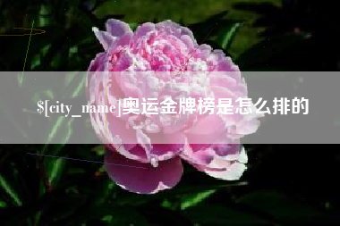 黄山奥运金牌榜是怎么排的