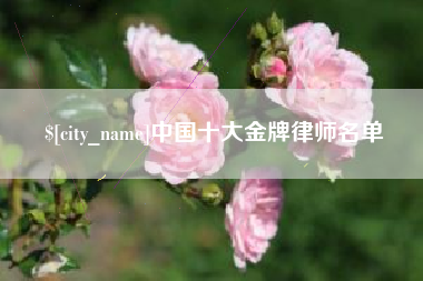 黄山中国十大金牌律师名单