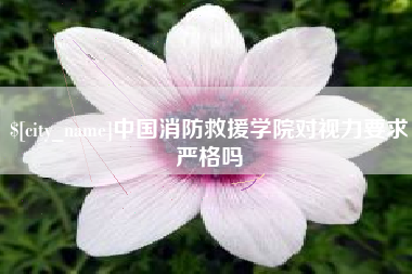 黄山中国消防救援学院对视力要求严格吗