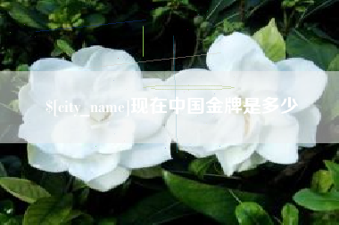 黄山现在中国金牌是多少