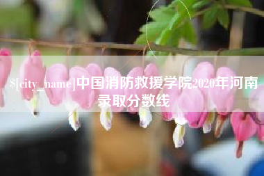 黄山中国消防救援学院2020年河南录取分数线