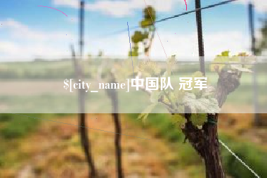 黄山中国队 冠军