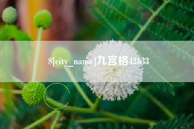 黄山九宫格42633