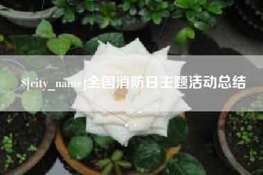 黄山全国消防日主题活动总结