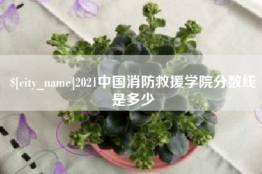 黄山2021中国消防救援学院分数线是多少