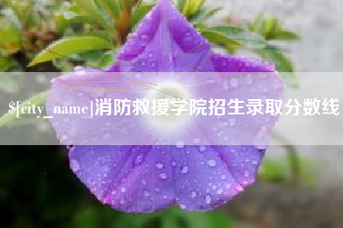 黄山消防救援学院招生录取分数线