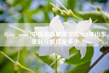 黄山中国消防救援学院2021年山东录取分数线是多少