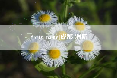 黄山成都 消防