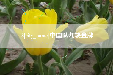 黄山中国队九块金牌