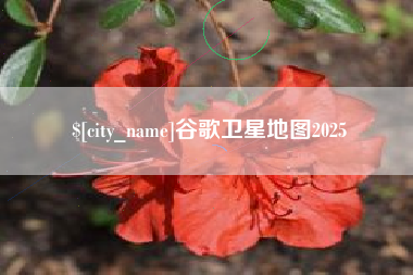 黄山谷歌卫星地图2025