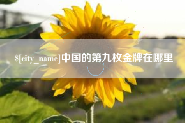 黄山中国的第九枚金牌在哪里
