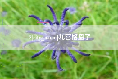 黄山九宫格盘子