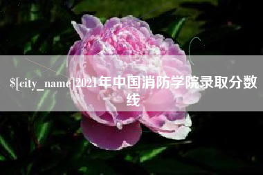 黄山2021年中国消防学院录取分数线