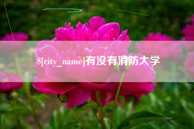 黄山有没有消防大学