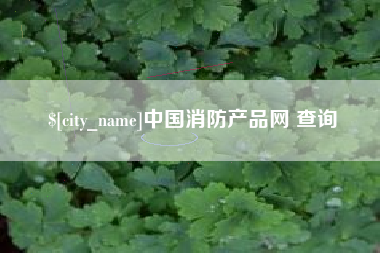 黄山中国消防产品网 查询