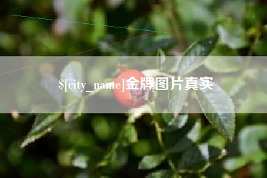 黄山金牌图片真实