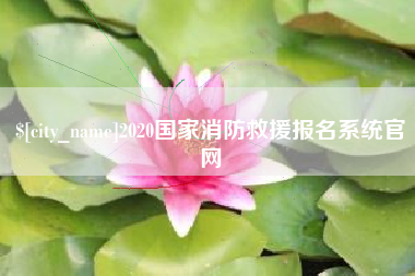 黄山2020国家消防救援报名系统官网