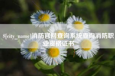 黄山消防官网查询系统查询消防职业资格证书