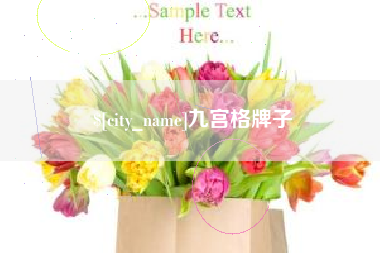 黄山九宫格牌子