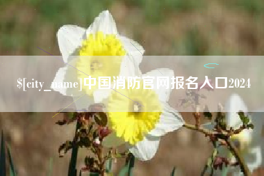 黄山中国消防官网报名入口2024
