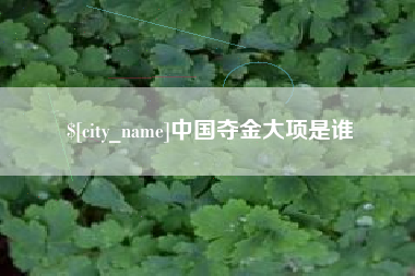 黄山中国夺金大项是谁
