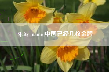 黄山中国已经几枚金牌