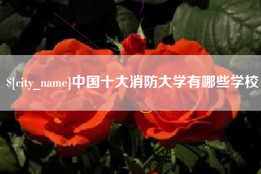 黄山中国十大消防大学有哪些学校