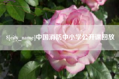 黄山中国消防中小学公开课回放