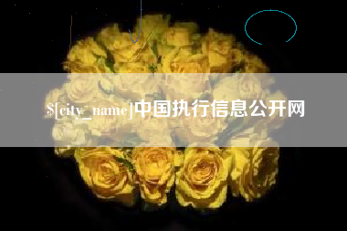 黄山中国执行信息公开网