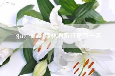 黄山森林消防日是哪一天