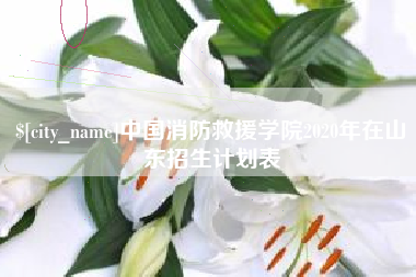 黄山中国消防救援学院2020年在山东招生计划表