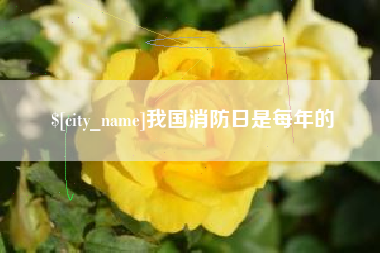 黄山我国消防日是每年的