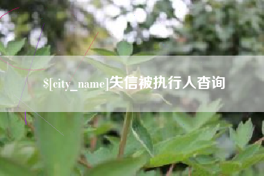 黄山失信被执行人杳询
