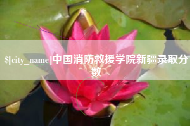 黄山中国消防救援学院新疆录取分数