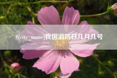 黄山我国消防日几月几号
