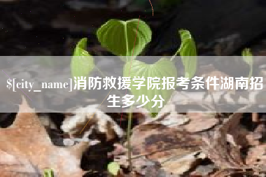 黄山消防救援学院报考条件湖南招生多少分