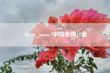 黄山中国金牌18金