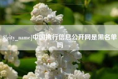 黄山中国执行信息公开网是黑名单吗