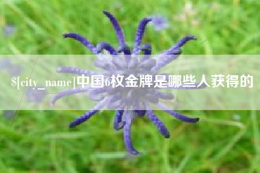 黄山中国6枚金牌是哪些人获得的