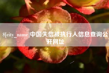 黄山中国失信被执行人信息查询公开网址