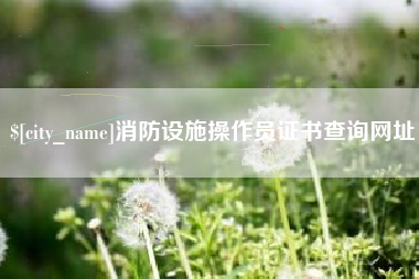 黄山消防设施操作员证书查询网址