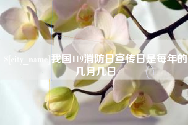 黄山我国119消防日宣传日是每年的几月几日