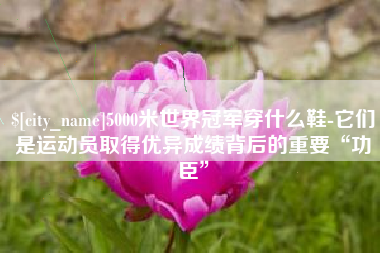 黄山5000米世界冠军穿什么鞋-它们是运动员取得优异成绩背后的重要“功臣”